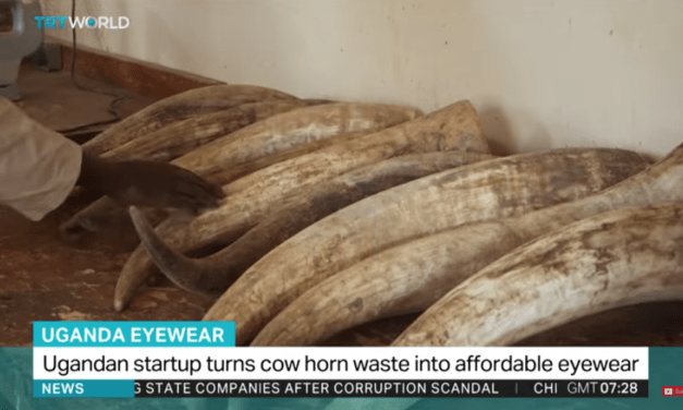 Ugandan start-up turns cow horn waste into affordable eyewear